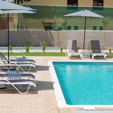 Olia فاسيليكي